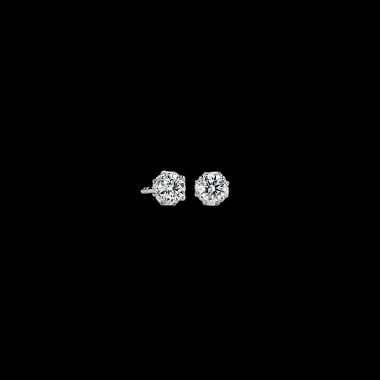 0.50ctw Round Hidden Halo Diamond Studs 14K White Gold