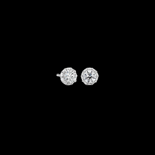 0.75ctw Round Hidden Halo Diamond Studs 14K White Gold