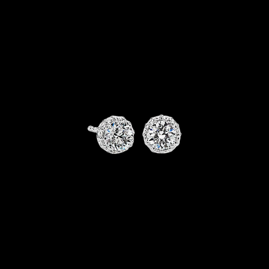 1.50 ctw Round Hidden Halo Diamond Studs 14K White Gold